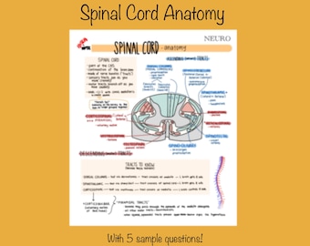 Spinal Cord Anatomy