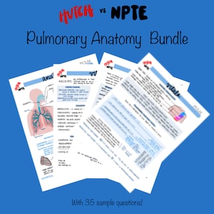 Pulmonary Anatomy Bundle