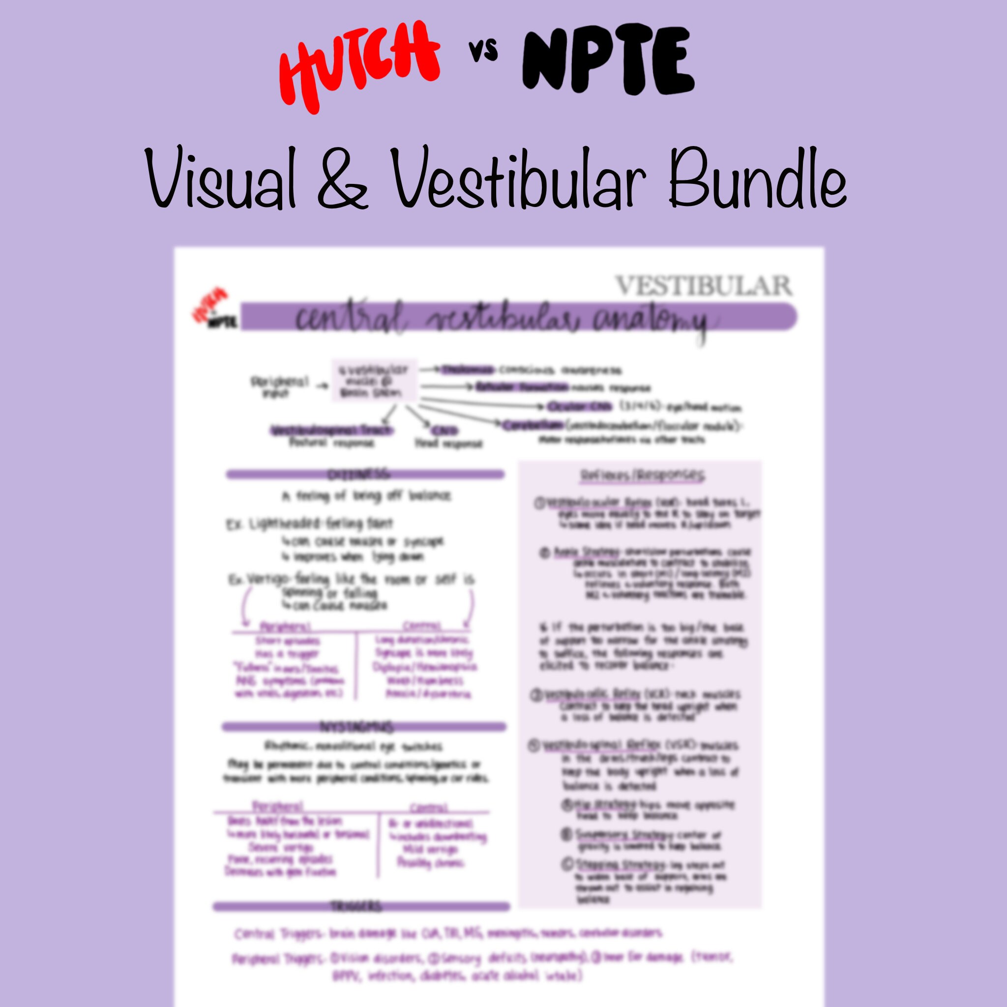 Visual & Vestibular Bundle - Etsy