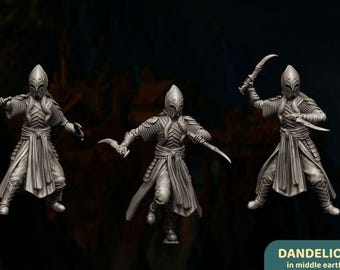 Hoofdadviseur - Assassins