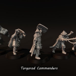 May include: Five grey plastic miniature figures of warriors with swords, shields, and bows. The figures are standing on black bases. The text "Torgorod Commanders" is printed below the figures.