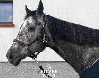 Cabezada de caballo acolchada de cuero marrón con testera anatómica