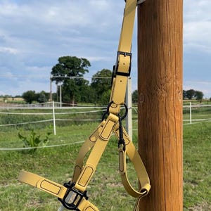 Waterproof Horse Halter “Mustard Gold” color
