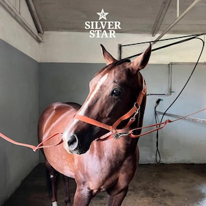 Adjustable Waterproof PVC-Coated Cross-Tie: Wash Stall Tie