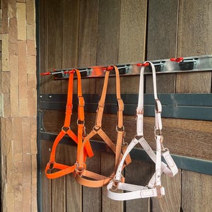 Waterproof Rose Gold Horse Halter – Adjustable PVC Coated Halter, Handmade in Poland