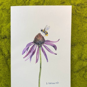 ECHINACEA (Echinacea): biglietto d'auguri dipinto a mano con acquerello