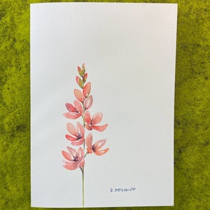 IXIA (Lírio de milho africano): Cartão de felicitações em aquarela pintado à mão