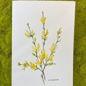 FORSYTHIA: Cartão de felicitações em aquarela pintado à mão