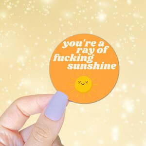May include: A round sticker with a yellow sun and the text "you're a ray of fucking sunshine" in white.