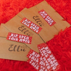 May include: Multiple brown envelopes with red and white stickers that say "Rip Open This Mofo" and the name "Ellie" written on each envelope.