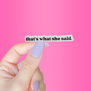 Thats What She Said Sticker, Funny Stickers Adult, Inappropriate Sticker, Offensive Stickers, Sassy Sticker, NSFW Sticker, Sarcastic Decal