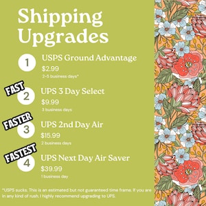 Puede incluir: Un gr&aacute;fico verde y blanco con el texto "Shipping Upgrades" y cuatro opciones de actualizaci&oacute;n de env&iacute;o con sus precios y tiempos de entrega estimados. Las opciones son: USPS Ground Advantage, UPS 3 Day Select, UPS 2nd Day Air y UPS Next Day Air Saver. El gr&aacute;fico se coloca sobre un fondo con un patr&oacute;n floral.