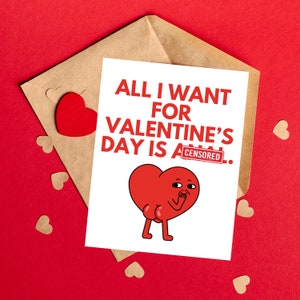 Schmutzige Valentinstag Karte Unangemessene Valentinstag Karte Sexy Geschenk für Ihn Freches Geschenk für Sie Versaute Karte Freche Karten Lustige Karte zum Valentinstag