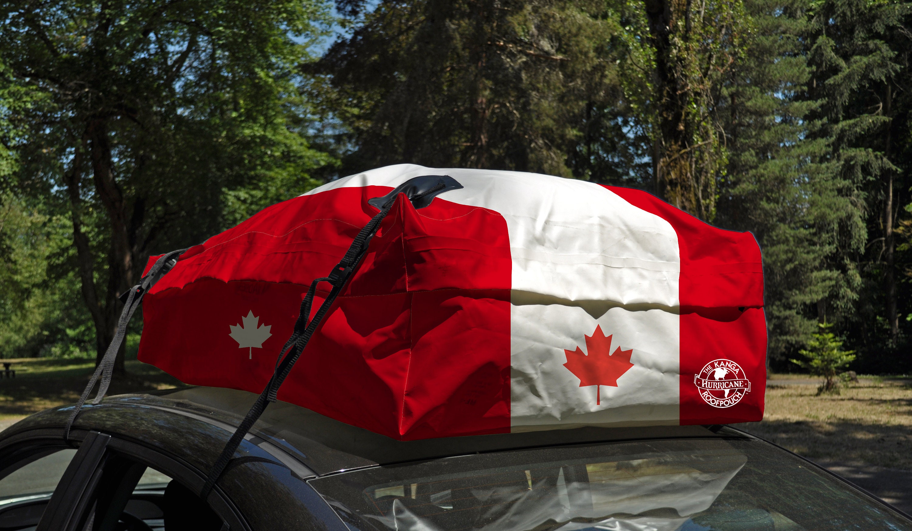 Roof Top Cargo Carrier for sale Only 4 left at 70