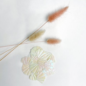 Pode incluir: Um grupo de conchas brancas iridescentes com um design texturizado em forma de leque. As conchas estão dispostas em um cacho sobre um fundo branco. Duas gramíneas pampas secas, fofas, de cor rosa claro e bege, estão no fundo.