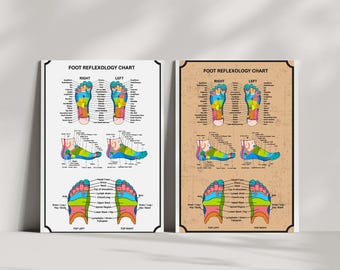 Tabla de reflexología podal: Mapa de puntos de acupresión para terapia de masaje (PDF descargable para imprimir)