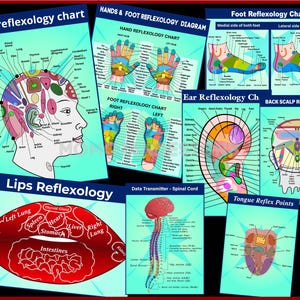 May include: A collection of reflexology charts, including scalp, hands, foot, ear, back scalp, lips, and tongue reflexology diagrams. The charts feature detailed illustrations of body parts with labeled reflex points, using a variety of colors to highlight different areas.