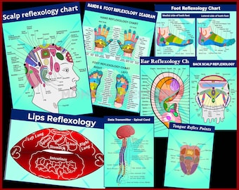 Reflexology Charts Hand, Foot, Ear, Scalp, Lips, Tongue & Spine (Digital Download) Reflexology Poster collection
