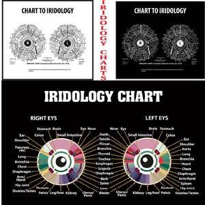 Iridology Chart von Dr. Bernard Jensen Iridology Chart Set | Augenreflex- und Gesundheits-Analytik | Digitaler Download (PDF und JPG)