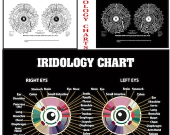 Conjunto de gráficos de iridología del Dr. Bernard Jensen: Análisis de reflejos oculares (descarga digital)