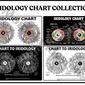 Iridologiekaartenset van Dr. Bernard Jensen: Oogreflexanalyse (digitale download)
