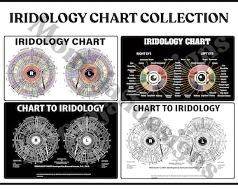Dr. Bernard Jensen Iridology Chart Set: Eye Reflex Analysis (Digital Download)