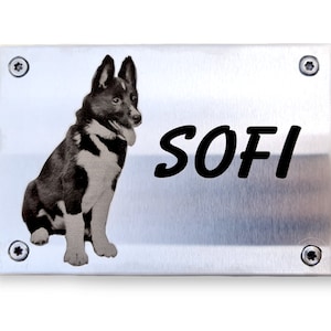 Stainless steel photo engraved memorial plate dog or cat