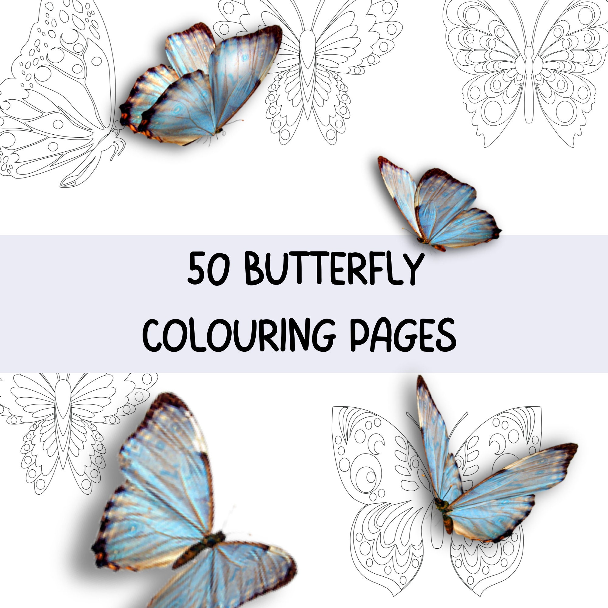 Butterfly Coloring Pages, 50 Printable Butterfly and Flower Coloring