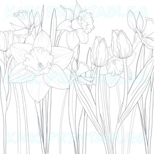 Spring Flower Coloring Page & Template