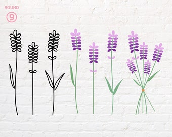 Peut inclure: Un ensemble de six illustrations de fleurs de lavande. Les trois premières sont des dessins au trait en noir et blanc, et les trois dernières sont en violet et vert.