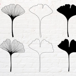 Ginkgo leaf svg, png, dxf, eps, pdf