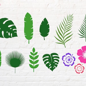Tropical svg, Hibiscus svg, png, dxf, eps, pdf