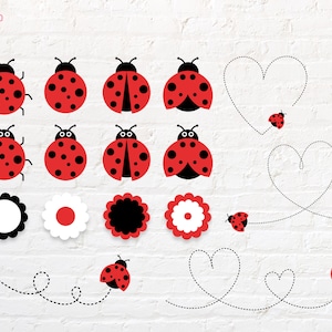 Coccinella svg, png, dxf, eps, pdf