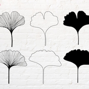 Ginkgo leaf svg, png, dxf, eps, pdf