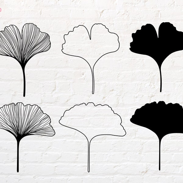 Ginkgoblatt svg, png, dxf, eps, pdf