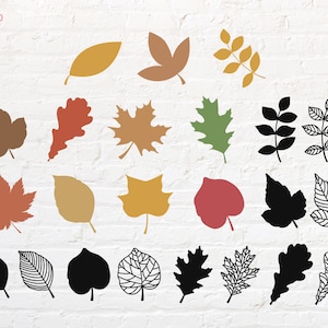 May include: A set of 20 autumn leaf illustrations in various colors and styles. The leaves are in a variety of shapes, including maple, oak, and birch. The illustrations are perfect for use in crafting, scrapbooking, or digital design.