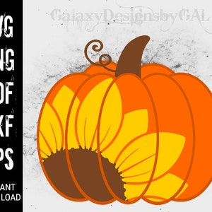 SVG SUNFLOWER PUMPKIN , pdf, eps, dxf, png, Sunflower Fall Design, Cute Pumpkin with Cheetah Print svg