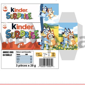 Pu&ograve; includere: Una scatola di uova Kinder Sorpresa con le parole "Kinder Surprise" in lettere colorate. La scatola presenta immagini di cani dei cartoni animati e il testo "AMUSEZ-VOUS EN FAMILLE!" e "3 pi&egrave;ces x 20 g".