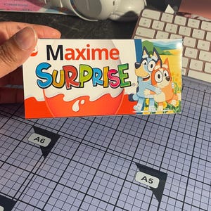 Pu&ograve; includere: Una scatola di caramelle Maxime Surprise con la parola "Surprise" in lettere colorate. La scatola presenta i personaggi dei cartoni animati Bluey e Bingo. Lo sfondo include un cielo blu e fiori gialli.