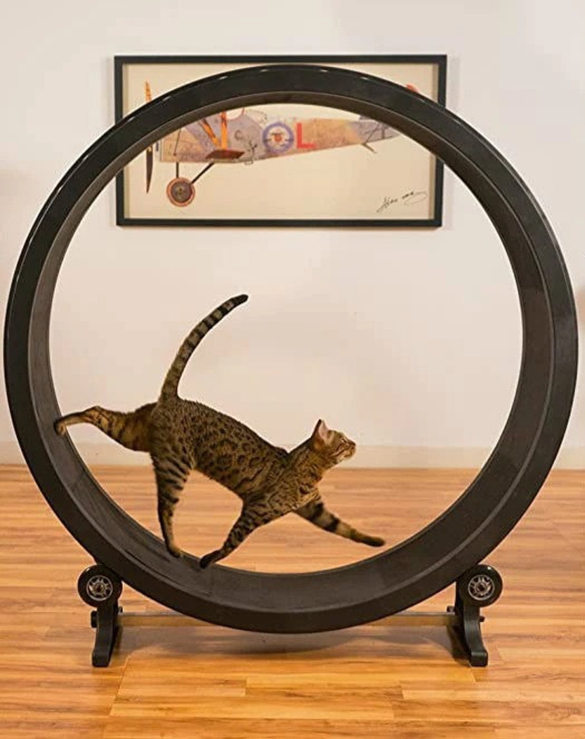 The Cat Running Wheel Healthy and fun Etsy The Cat Running Wheel Healthy and fun Etsy