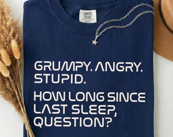 Comfort Colors® Grumpy Rocky Shirt, Project Hail Mary Inspired Tee, Funny Sci Fi Book Shirt, Grumpy Angry Stupid Quote Tshirt