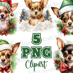Mignon Noël rétro chihuahuas PNG aquarelle Clipart ensemble, illustrations de chien de vacances, graphiques festifs de chiot, chihuahua portant des chapeaux de père Noël
