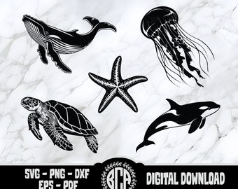 Ensemble SVG Ocean Life | Créatures marines des cliparts | Pack SVG d'animaux marins | Tortue de mer SVG | Méduse svg | Baleines Svg | Étoile de mer Svg | Orque
