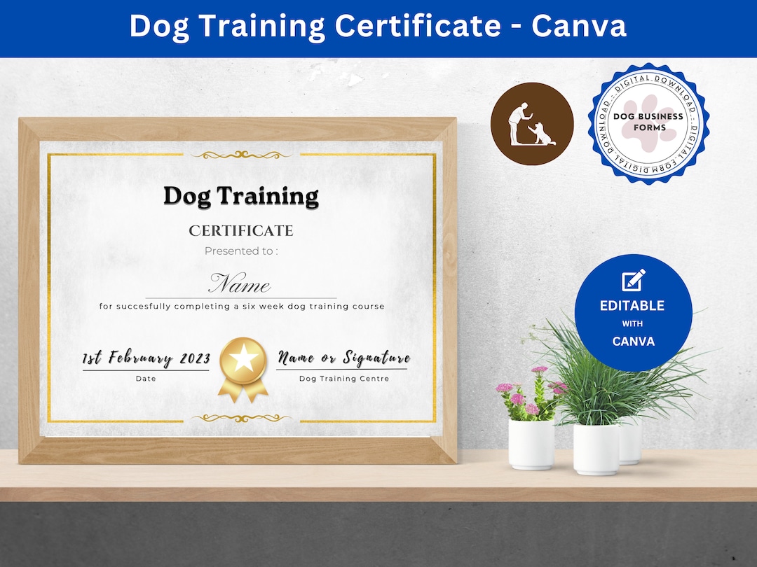 Dog Training Courses Certificate Dog Training Certificate Puppy