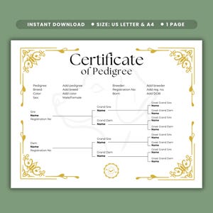 May include: A white Certificate of Pedigree document template with gold decorative corners and black text. The form includes fields for breed, colour, sex, breeder, and registration details, alongside a four-generation family tree chart.