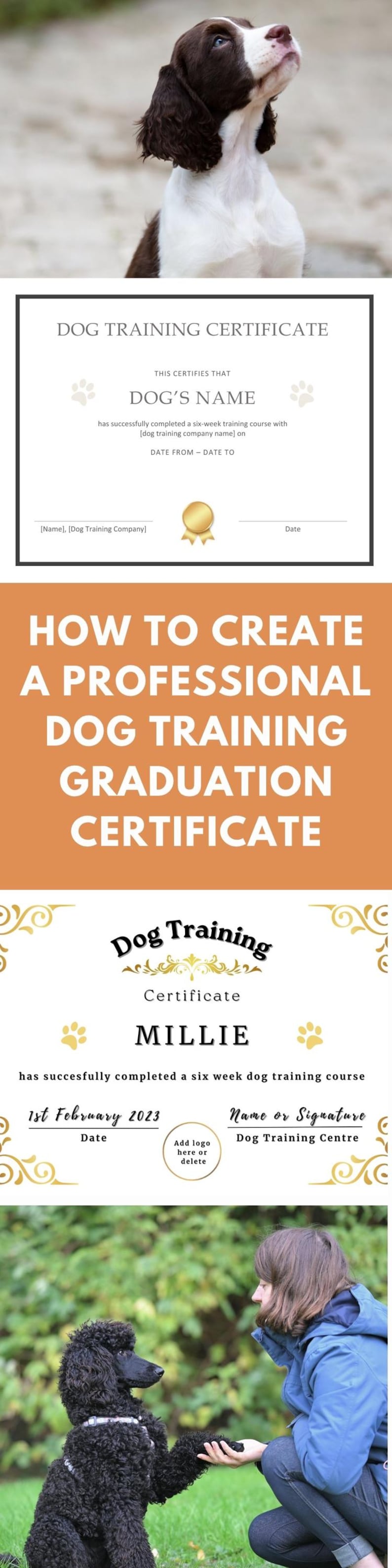 May include: A digital template for a dog training graduation certificate featuring a white background with gold decorative borders, paw print icons, a gold seal, and text fields for the dog's name, training company, and completion date.
