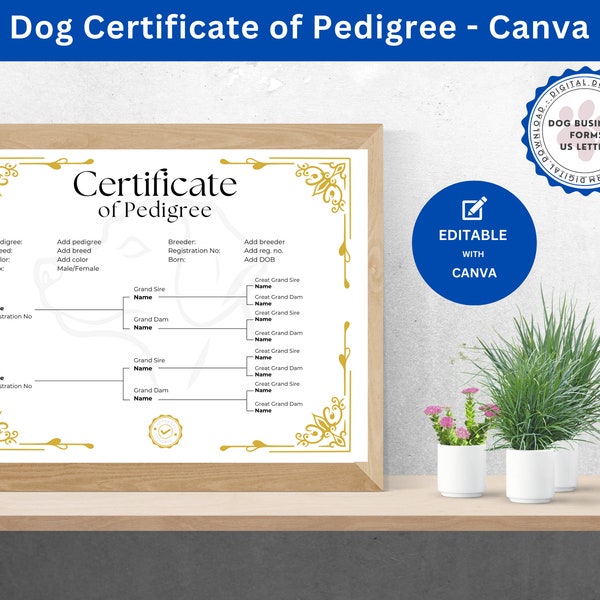 Certificate of Pedigree That Shows 3 Generations of Traceable Bloodlines for Dog Breeding Business Proof of Lineage Certified Pedigree Canva