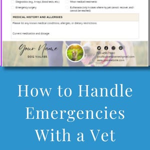 May include: A black Labrador Retriever receives veterinary care. The image includes a veterinary release form with sections for pet details, emergency contact, and medical history. The form also covers financial responsibility and euthanasia consent.