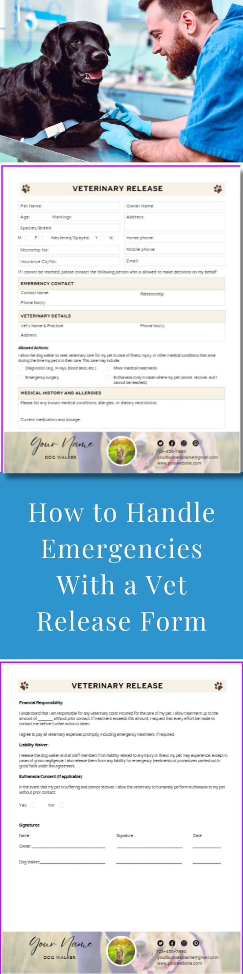 May include: A black Labrador Retriever receives veterinary care. The image includes a veterinary release form with sections for pet details, emergency contact, and medical history. The form also covers financial responsibility and euthanasia consent.
