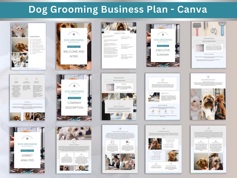 Illustration of Sample Pet Grooming Service Business Plan Template